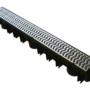 BCG2