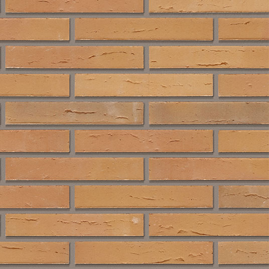 Wienerberger Elignia Robinia 48MM Brick
