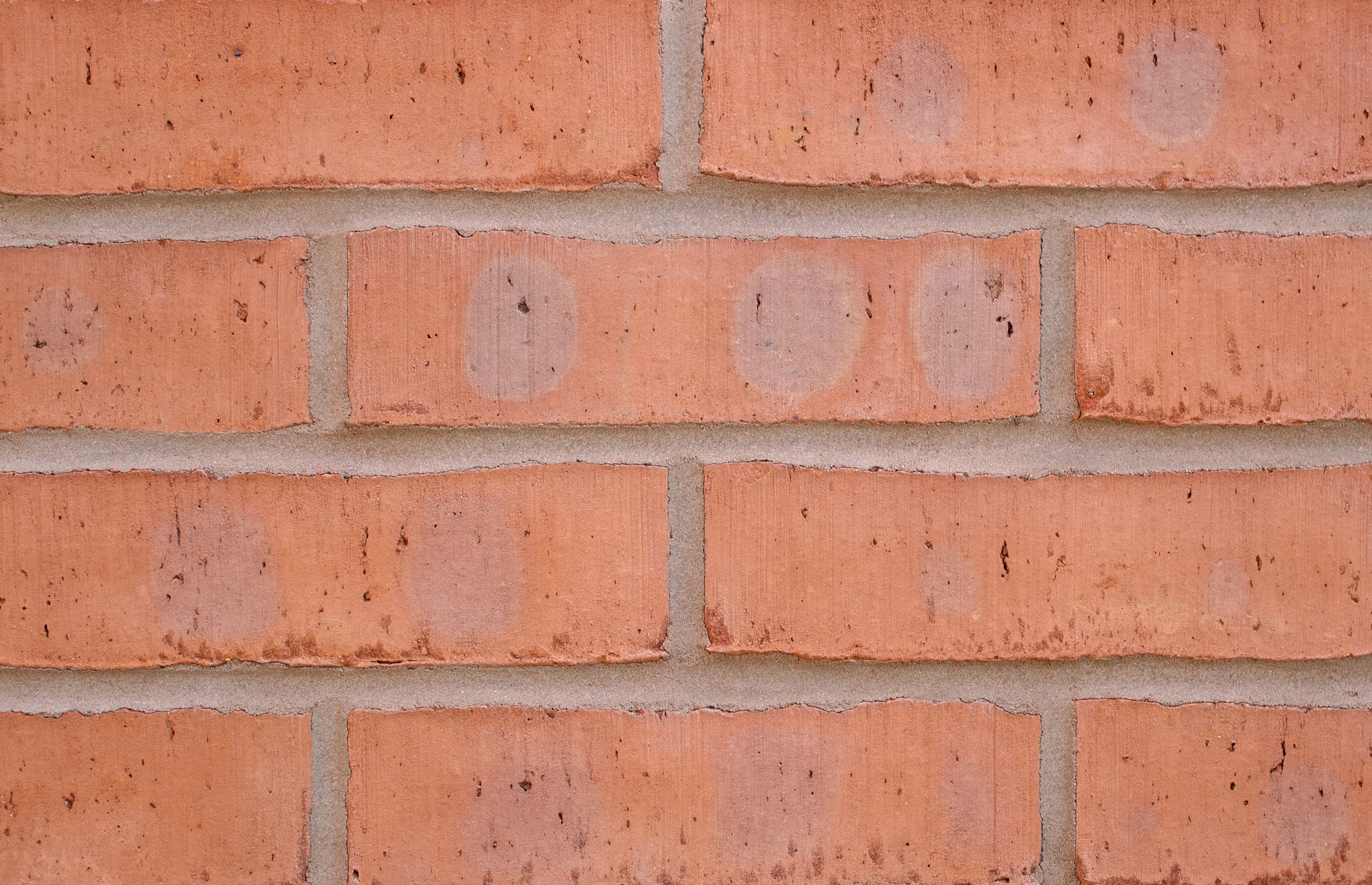 Forterra Shelton Red Multi 65MM Brick