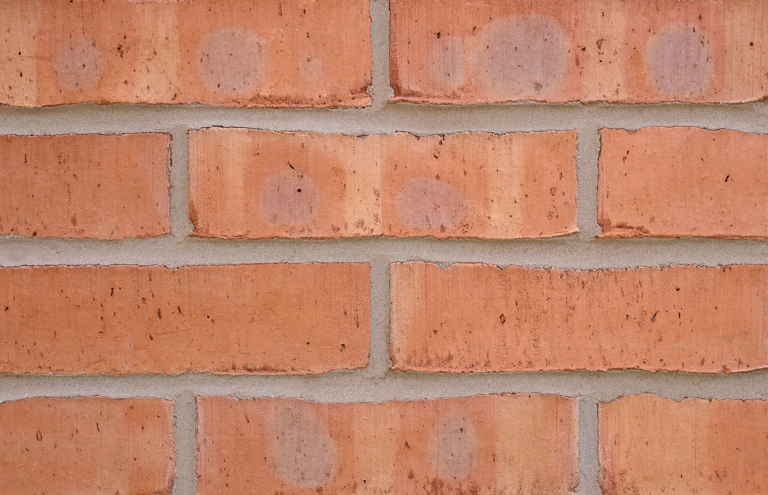 Forterra Shelton Russet 65MM Brick